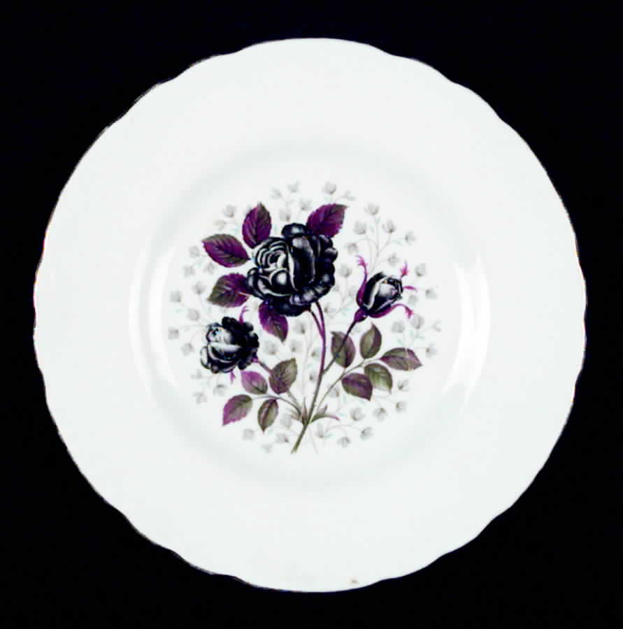 TUS31 Bread & Butter Plate by Tuscan - Royal Tuscan-1