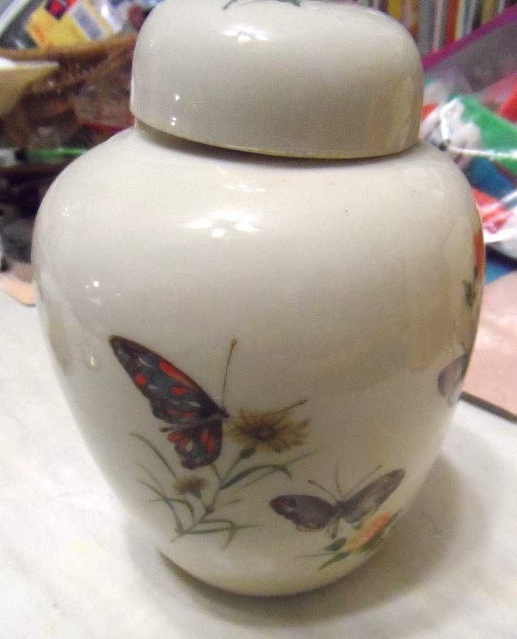 Dew Small Ginger Jar & Lid by Takahashi-1