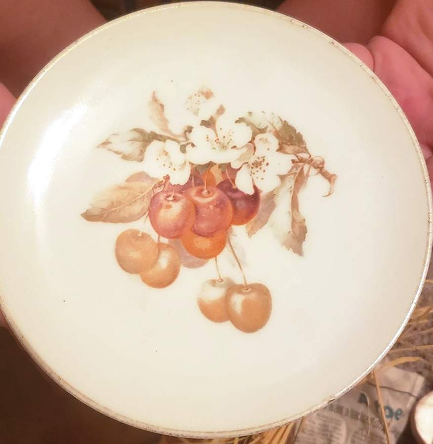 THO120 Salad Plate by Thomas-1