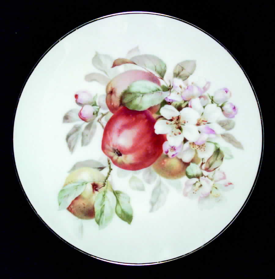 THO120 Salad Plate by Thomas-1