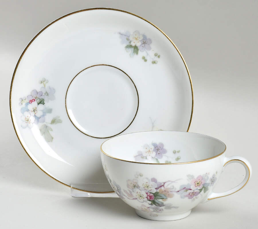 3214 Flat Cup & Saucer Set by Thomas-1