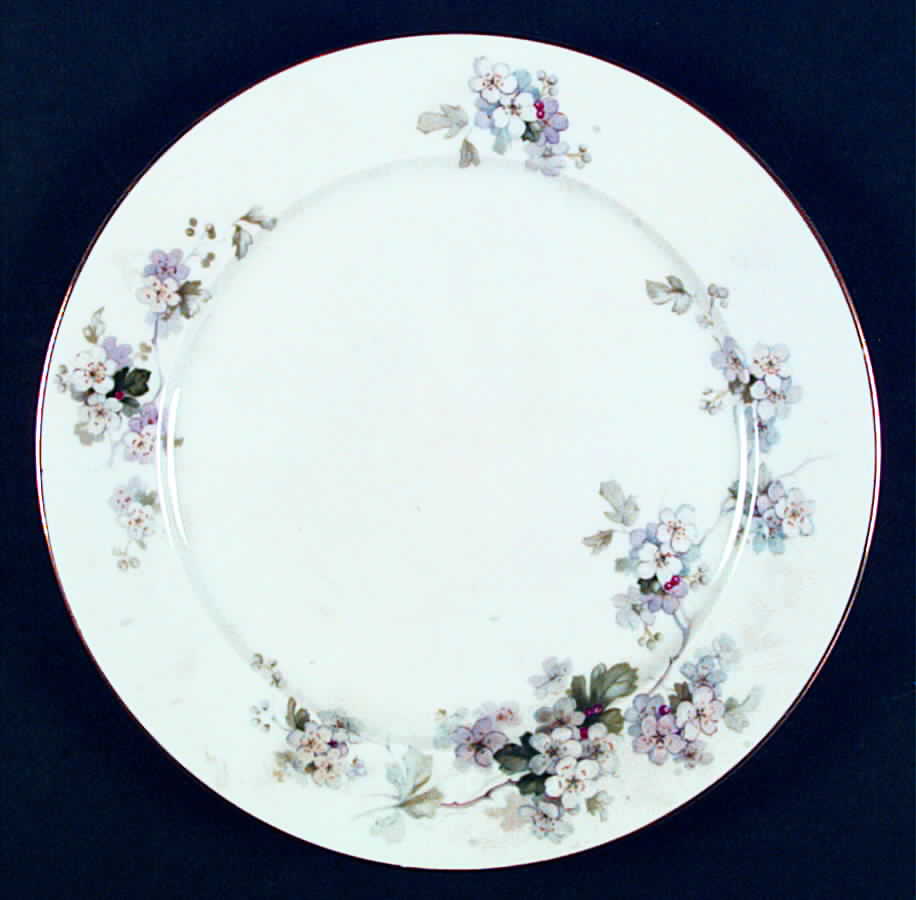 3214 Dinner Plate by Thomas-1