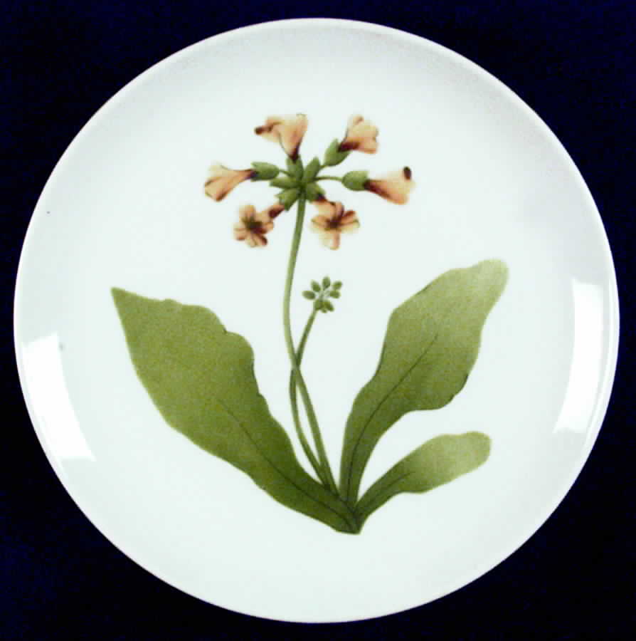 Tuileries Salad Plate by Toscany-1