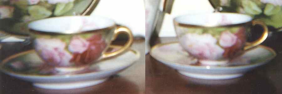 Mentone Footed Cup & Saucer Set by Thomas-1