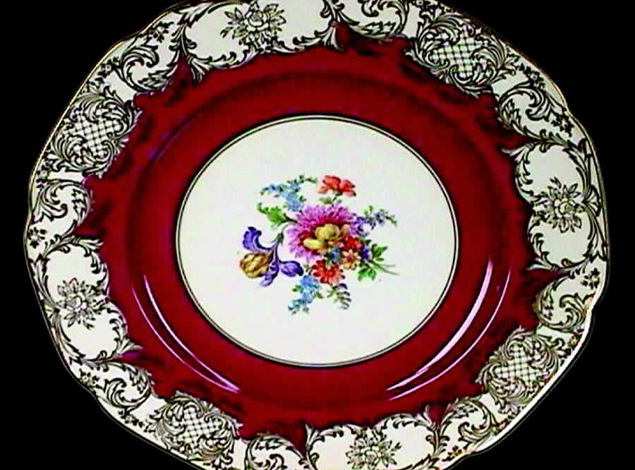 TIR135 Dinner Plate by Tirschenreuth-1