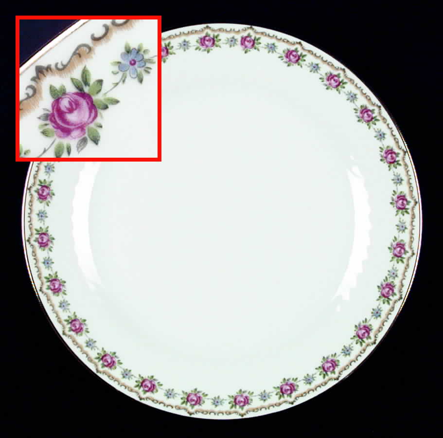 TIR136 Dinner Plate by Tirschenreuth-1