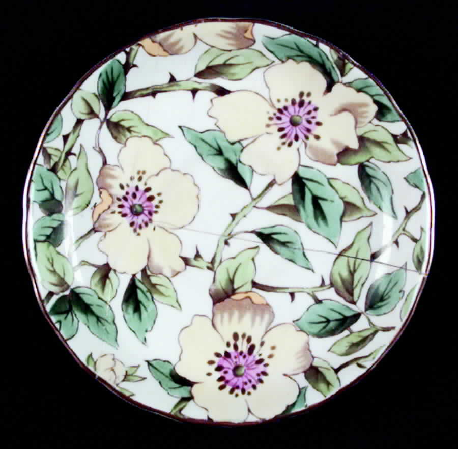 D484 Saucer by Tuscan - Royal Tuscan-1