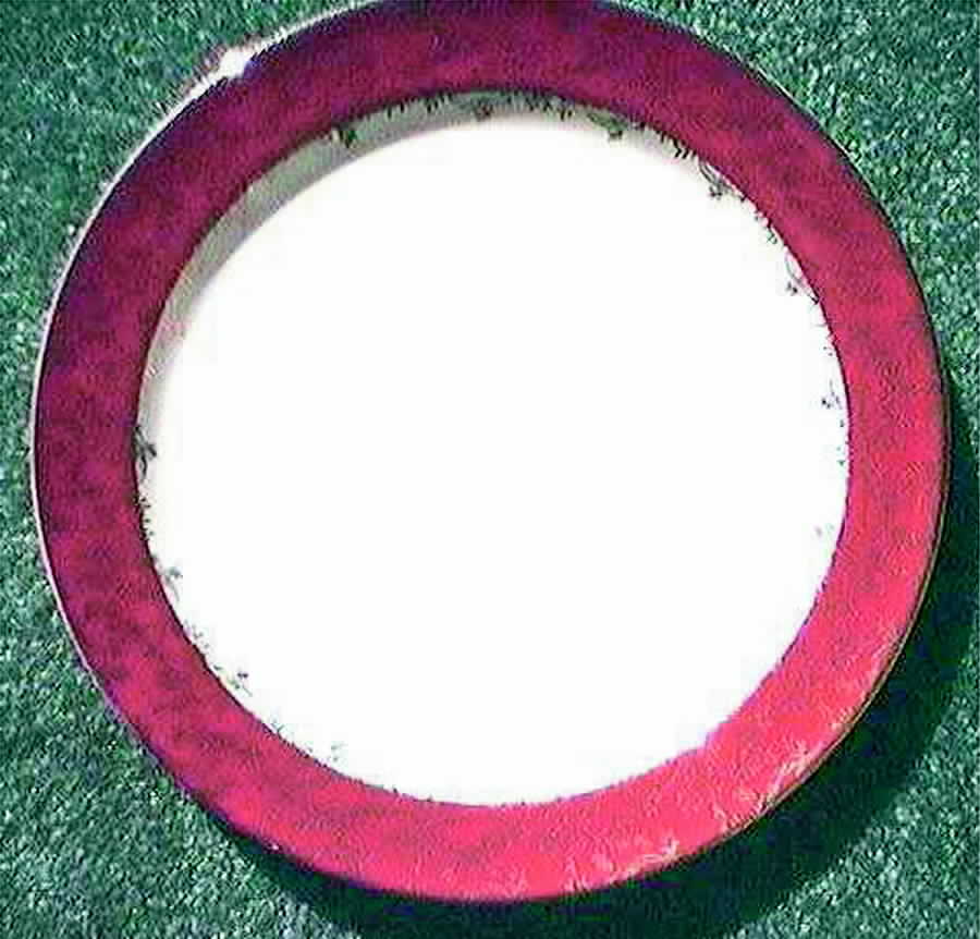 1676 Luncheon Plate by Taylor, Smith & Taylor (Ts&T)-1