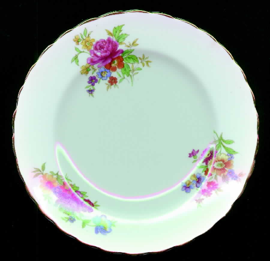 TUS36 Salad Plate by Tuscan - Royal Tuscan-1