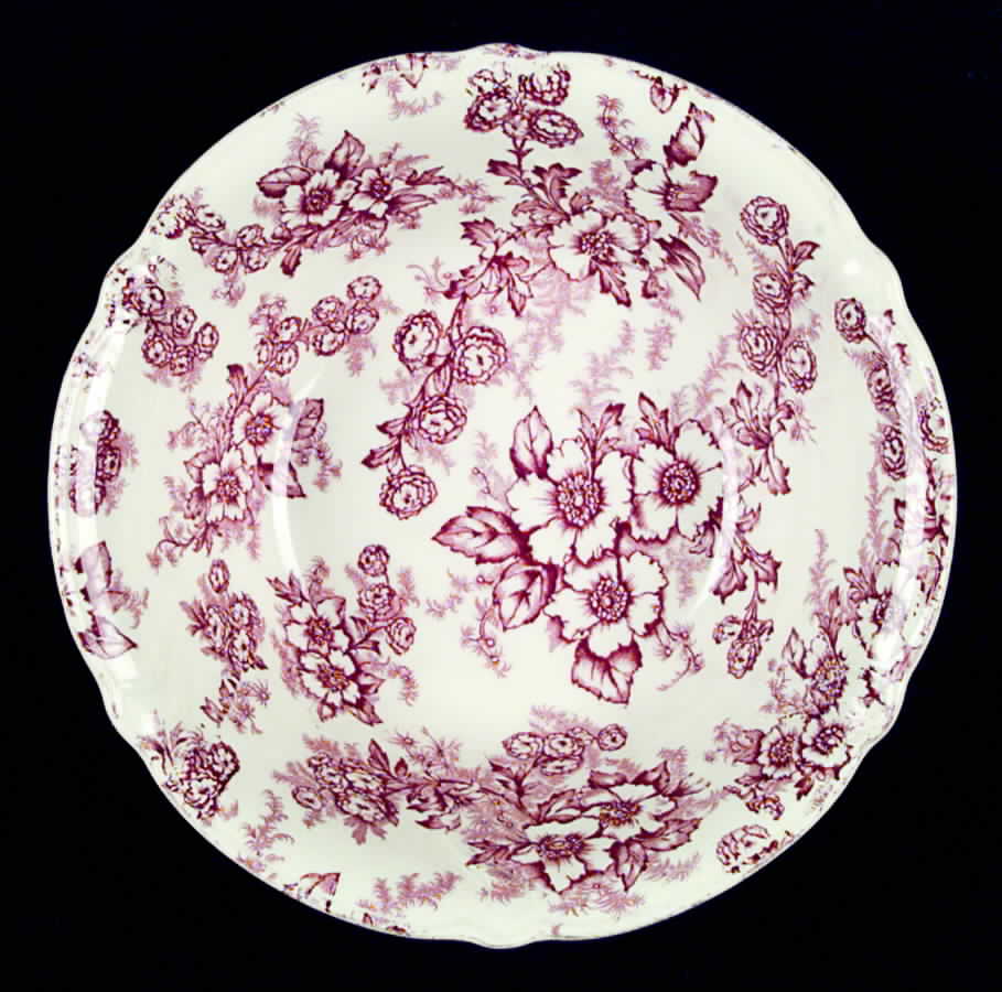 Dogwood Pink (Vogue, Cream Bkgd) Dinner Plate by Taylor, Smith & Taylor (Ts&T)-1