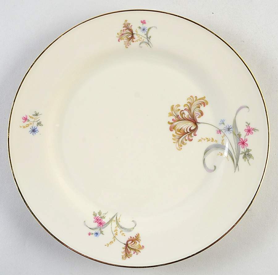 TIR141 Dinner Plate by Tirschenreuth-1