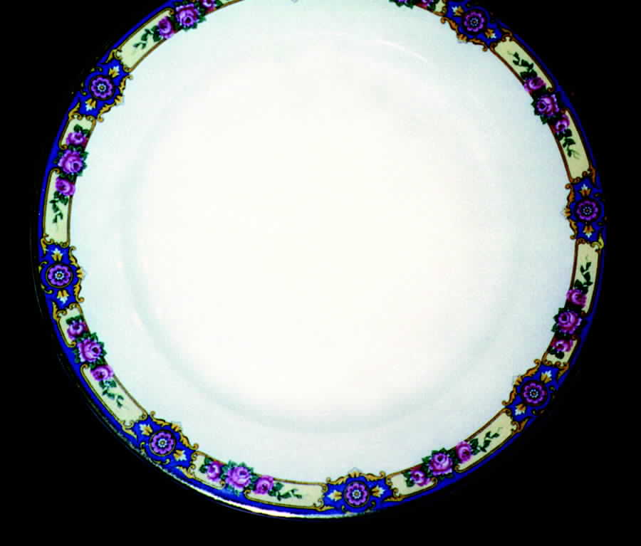 TRV184 Dinner Plate by Tressemanes & Vogt-1