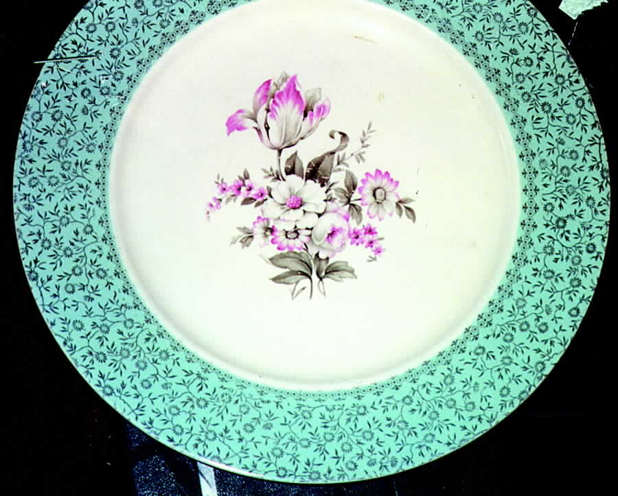 TST320 Dinner Plate by Taylor, Smith & Taylor (Ts&T)-1