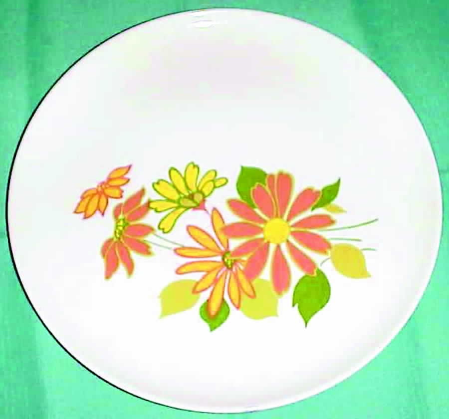 TST326 Dinner Plate by Taylor, Smith & Taylor (Ts&T)-1