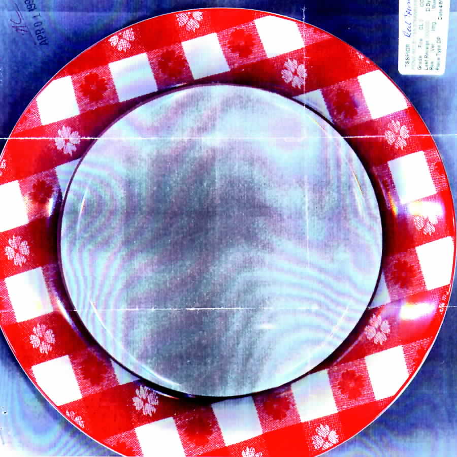 Picnic Red Dinner Plate by Ten Strawberry Street-1