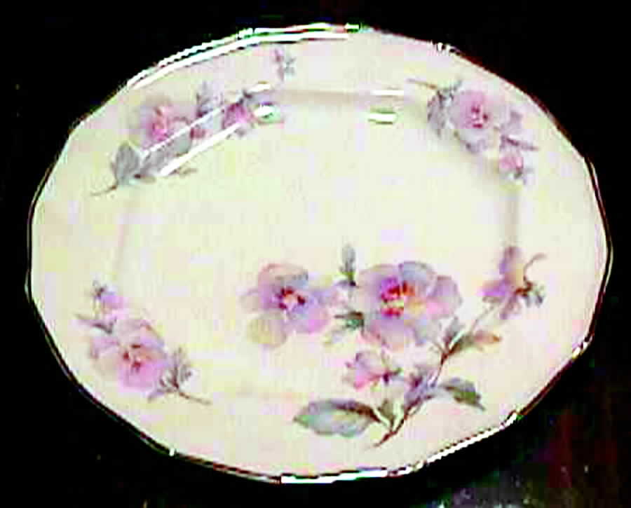 TST330 Dinner Plate by Taylor, Smith & Taylor (Ts&T)-1