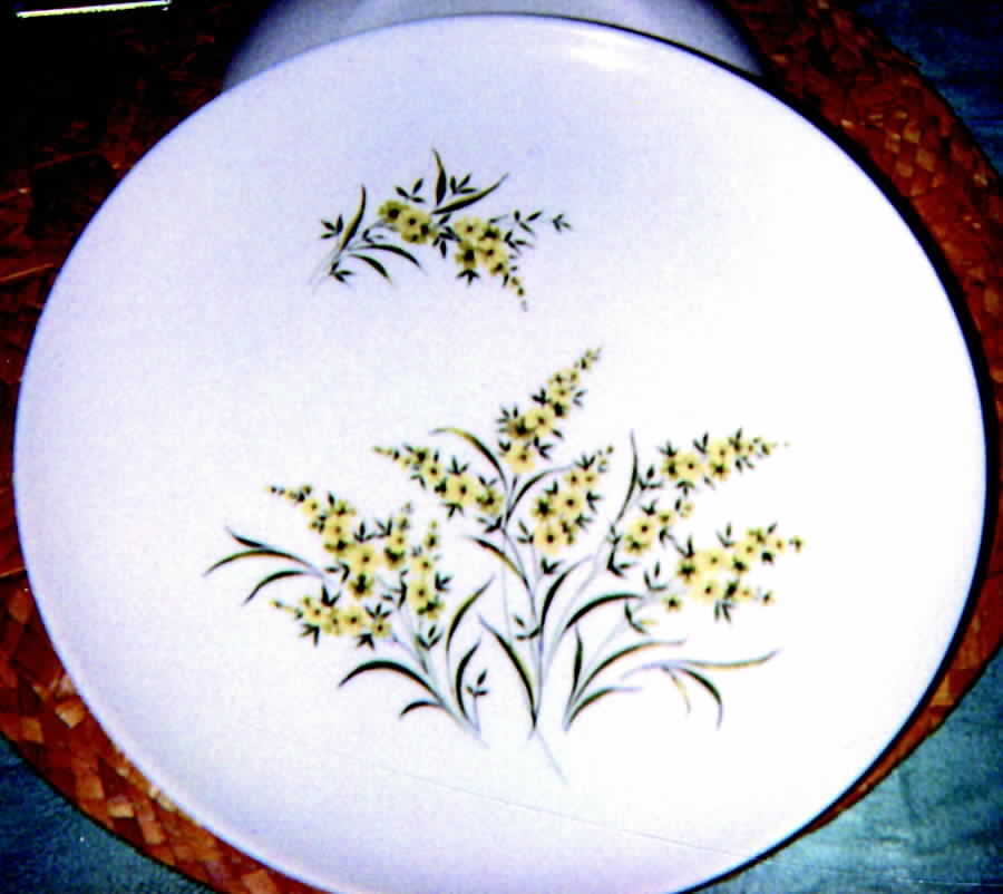 Lemon Blossom Dinner Plate by Taylor, Smith & Taylor (Ts&T)-1