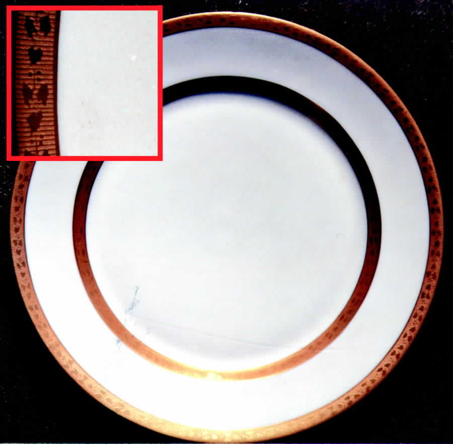 TIC15 Dinner Plate by Tiffany-1
