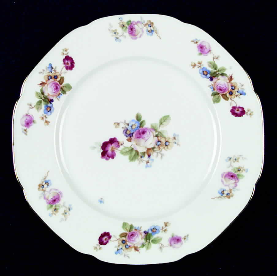 TIR148 Dinner Plate by Tirschenreuth-1