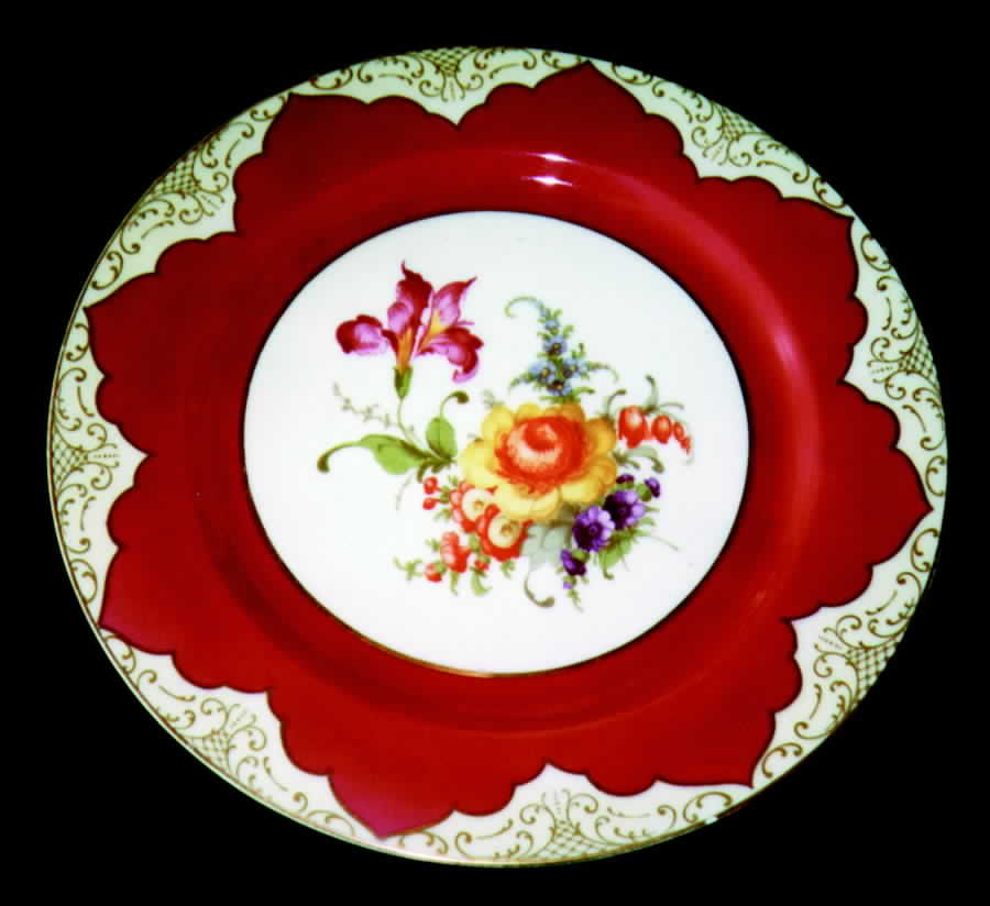 TIR150 Dinner Plate by Tirschenreuth-1