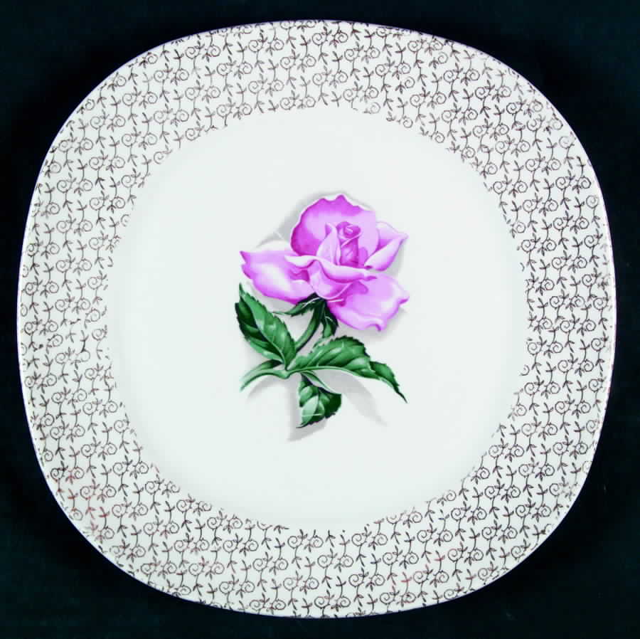 2156 Dinner Plate by Taylor, Smith & Taylor (Ts&T)-1