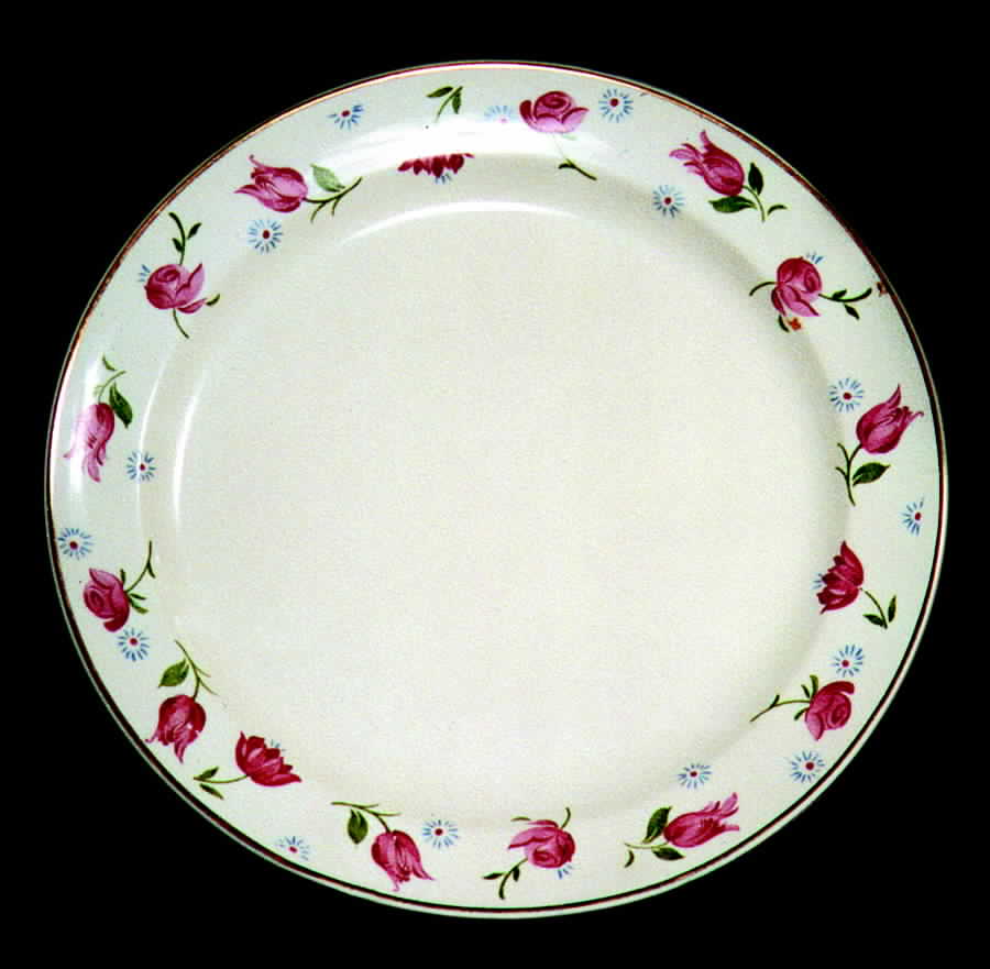 TST341 Dinner Plate by Taylor, Smith & Taylor (Ts&T)-1