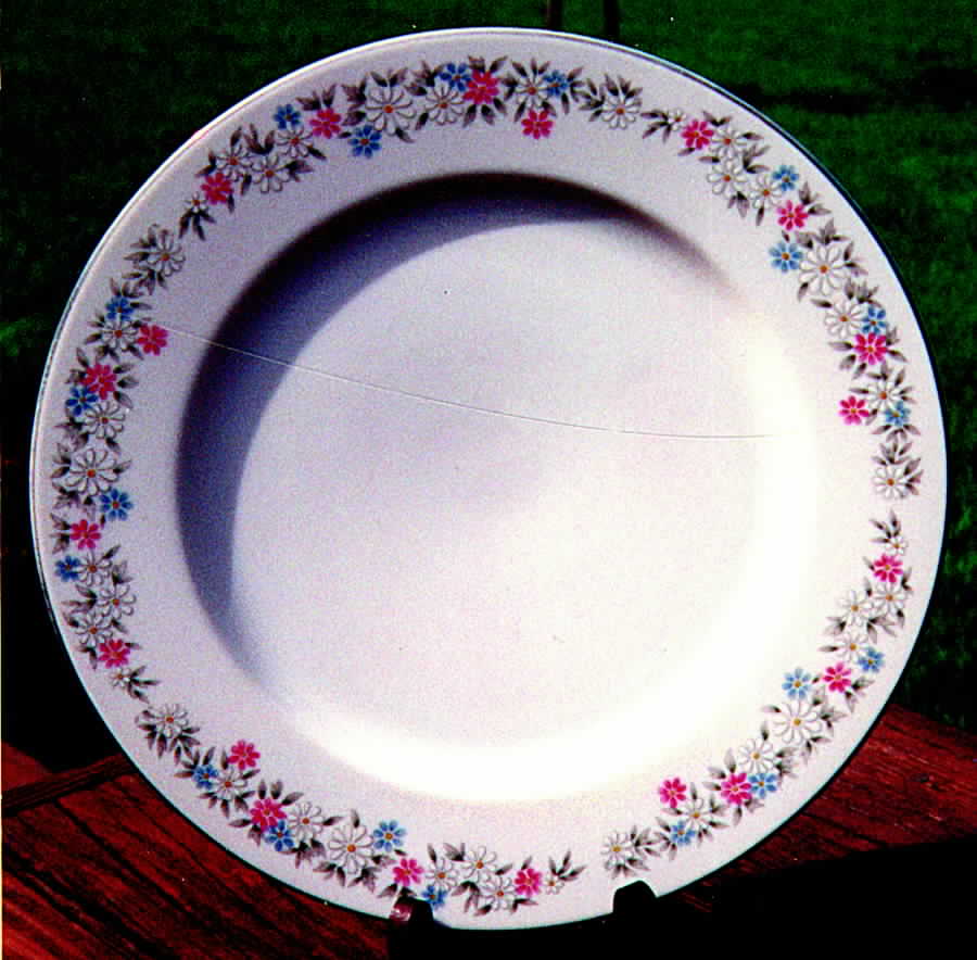 TAI1 Dinner Plate by Taihei-1