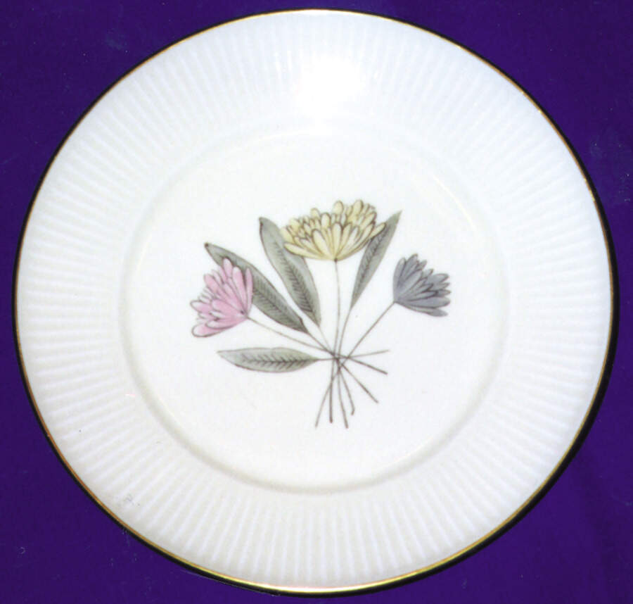 7489 Dinner Plate by Thomas-1