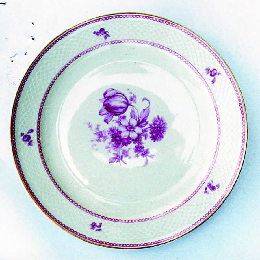 07239 Dinner Plate by Thomas-1