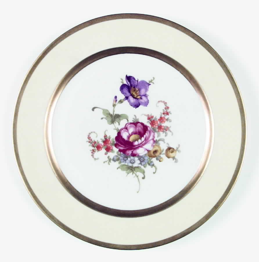TIR153 Dinner Plate by Tirschenreuth-1
