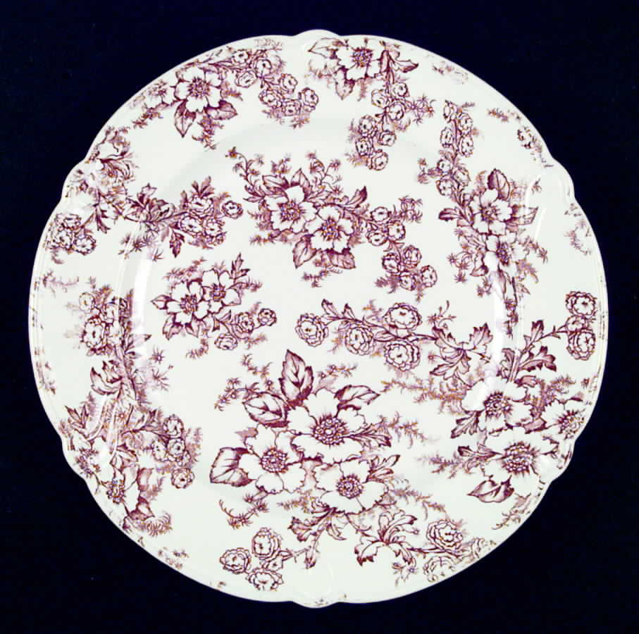 Dogwood Brown Dinner Plate by Taylor, Smith & Taylor (Ts&T)-1