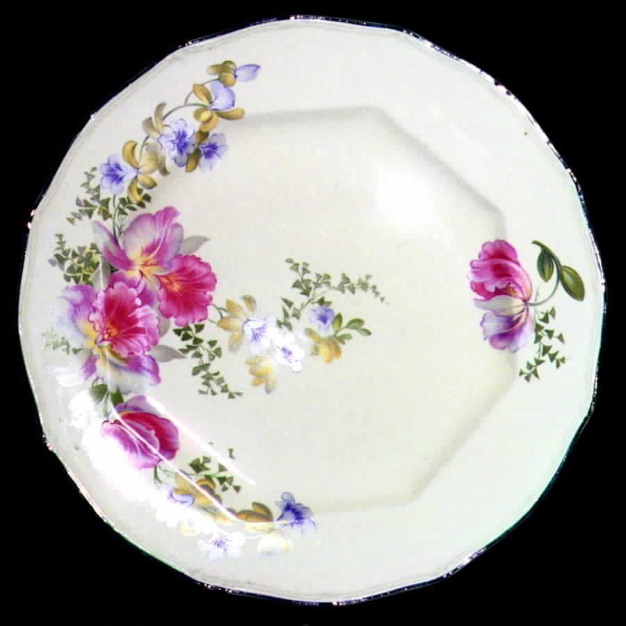 TST348 Dinner Plate by Taylor, Smith & Taylor (Ts&T)-1