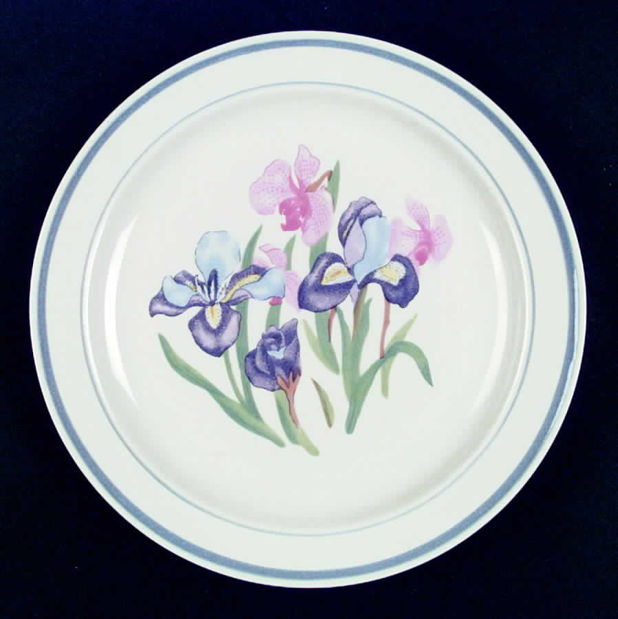 TAU10 Dinner Plate by Tabletops Unlimited-1