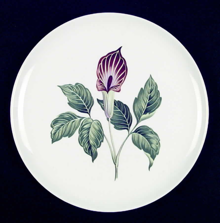 TST350 Dinner Plate by Taylor, Smith & Taylor (Ts&T)-1