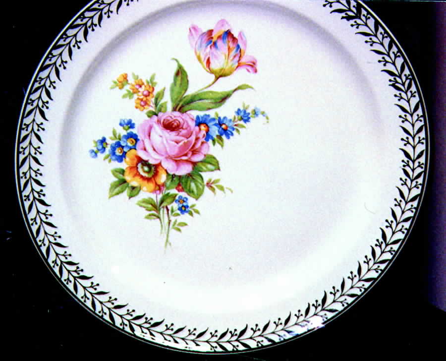 TST220 Dinner Plate by Taylor, Smith & Taylor (Ts&T)-1