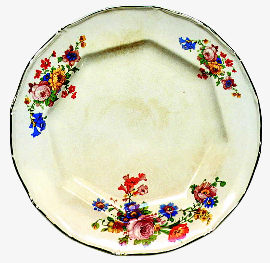 TST221 Dinner Plate by Taylor, Smith & Taylor (Ts&T)-1