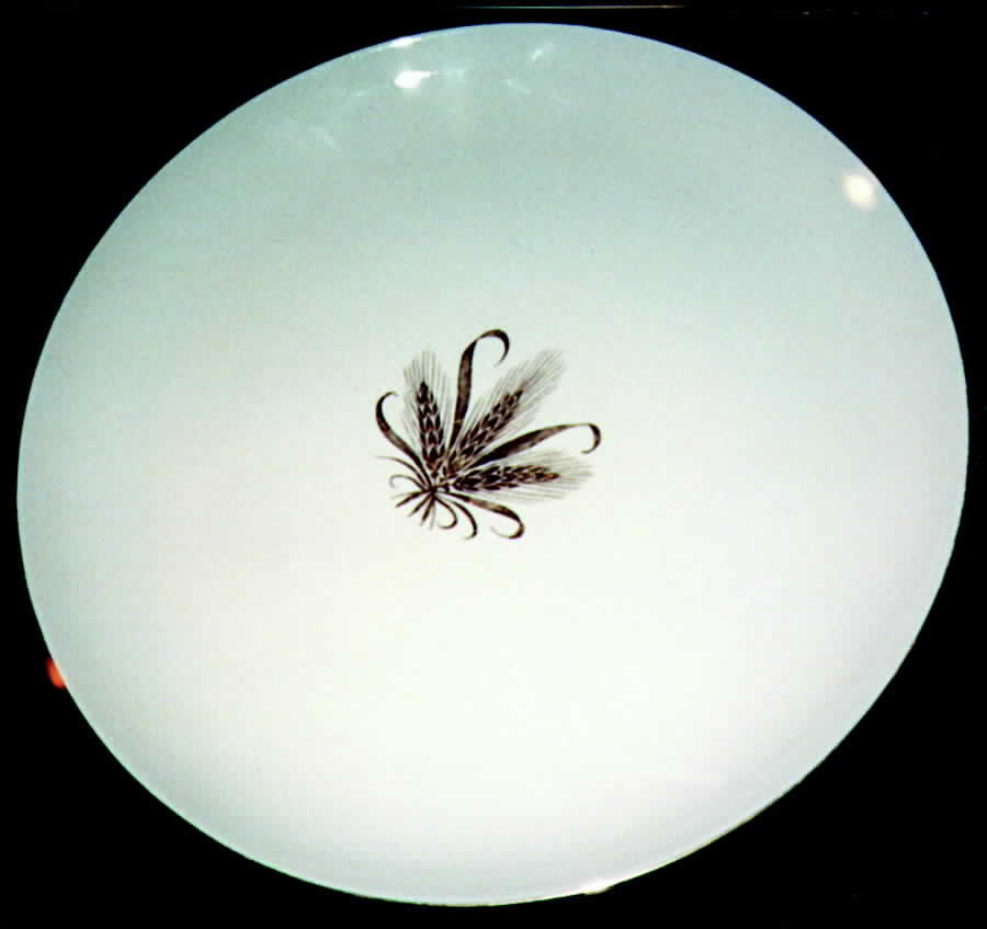 TST223 Dinner Plate by Taylor, Smith & Taylor (Ts&T)-1