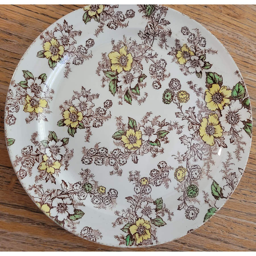 Dogwood Brown Multicolor Luncheon Plate by Taylor, Smith & Taylor (Ts&T)-1