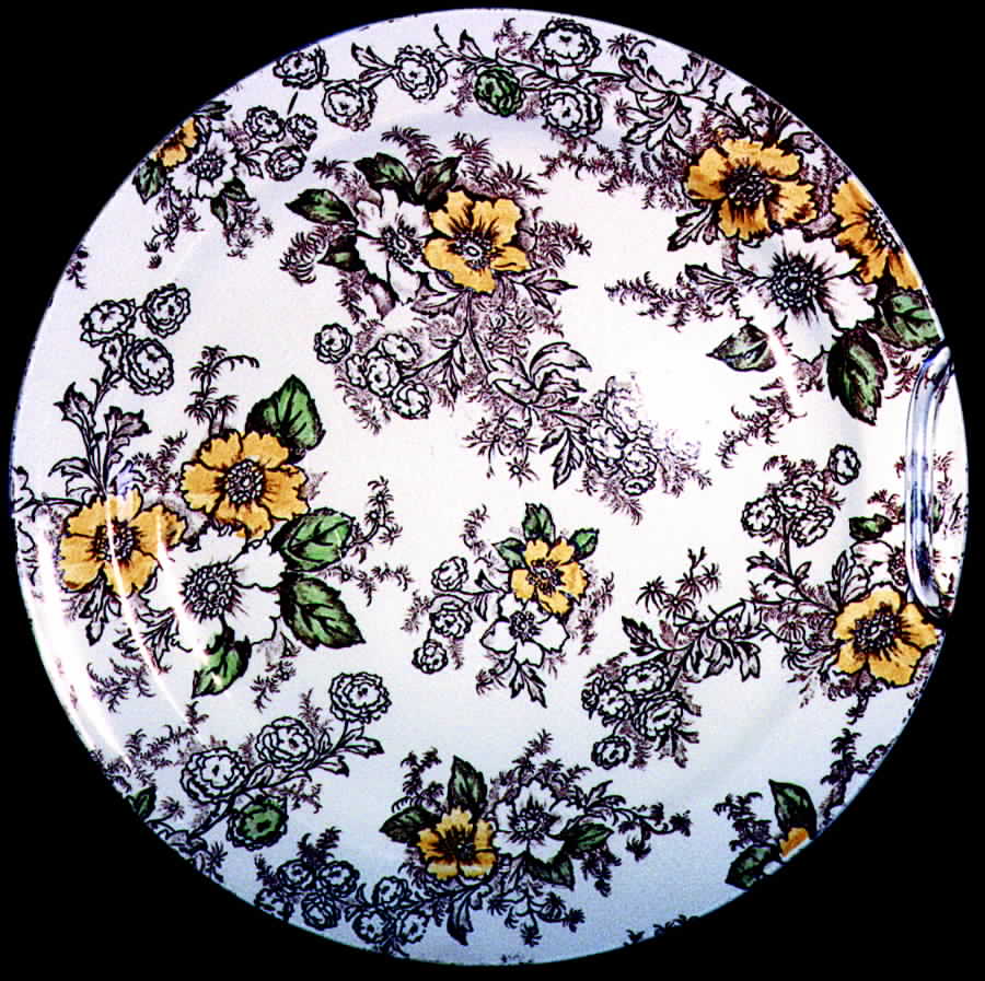 Dogwood Brown Multicolor Dinner Plate by Taylor, Smith & Taylor (Ts&T)-1