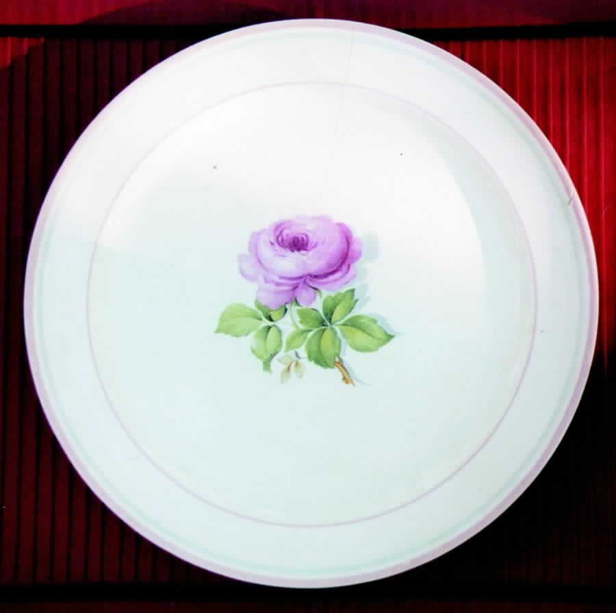 TST222 Dinner Plate by Taylor, Smith & Taylor (Ts&T)-1
