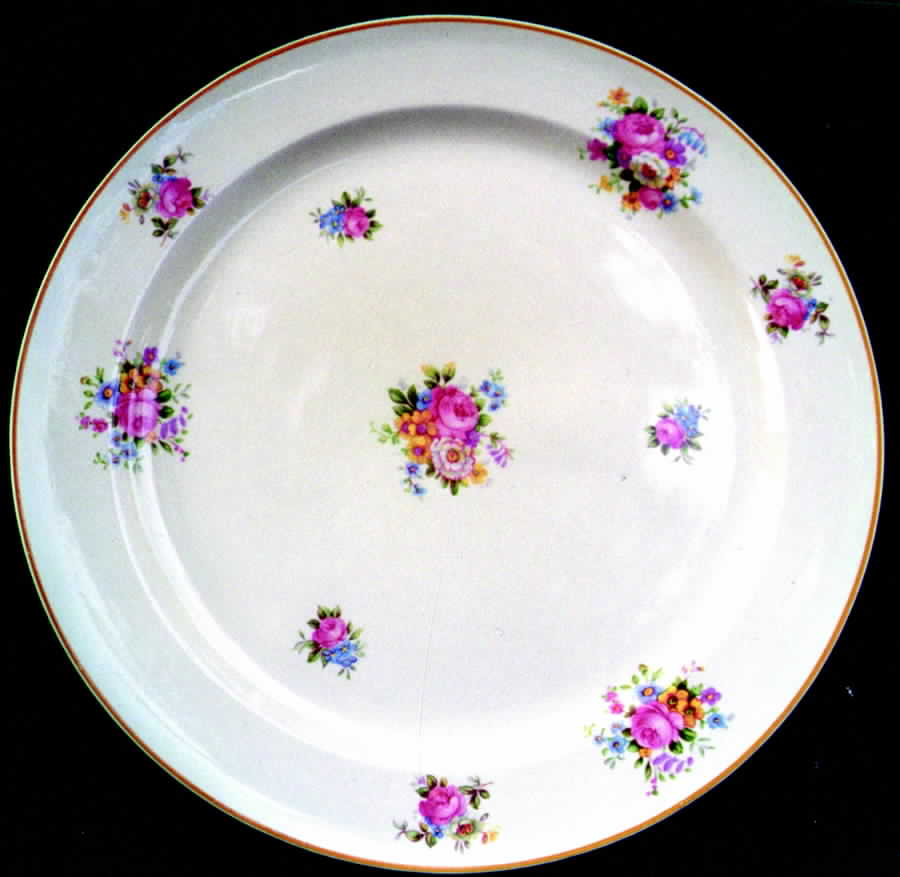 TST225 Dinner Plate by Taylor, Smith & Taylor (Ts&T)-1
