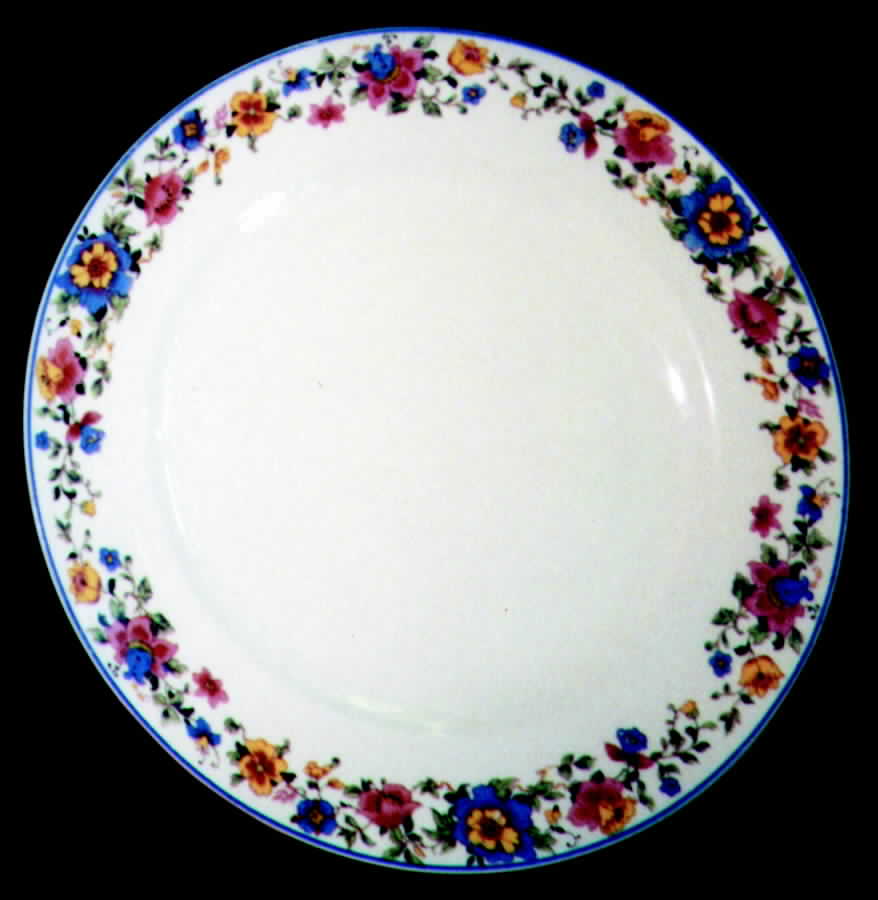 TST226 Dinner Plate by Taylor, Smith & Taylor (Ts&T)-1