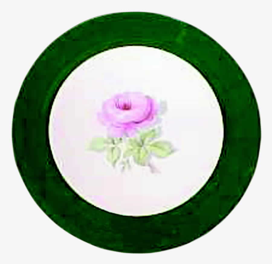TST355 Dinner Plate by Taylor, Smith & Taylor (Ts&T)-1