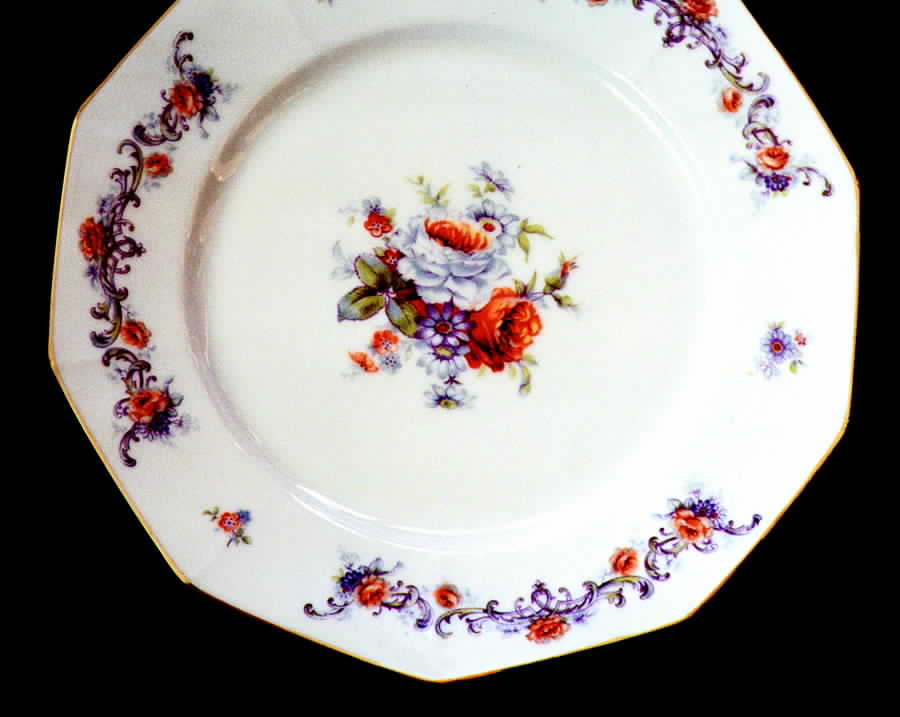 TIR157 Dinner Plate by Tirschenreuth-1