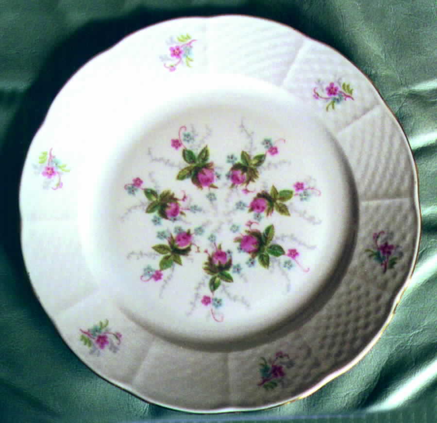 THU144 Dinner Plate by Thun-1