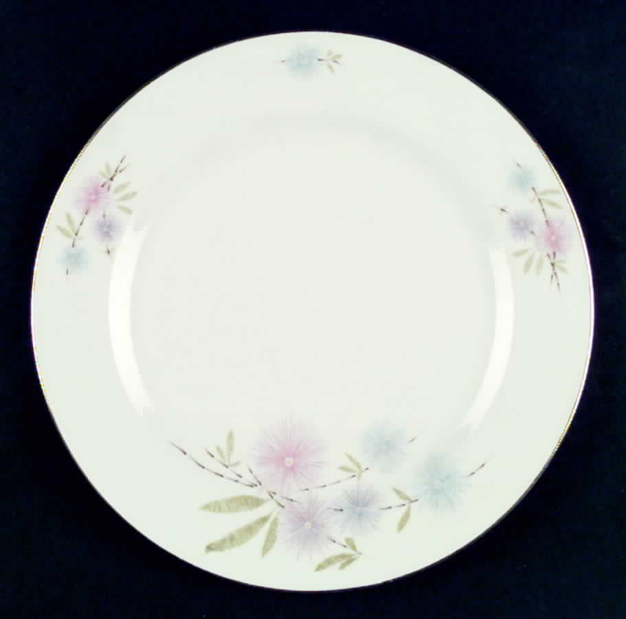 TIR165 Dinner Plate by Tirschenreuth-1