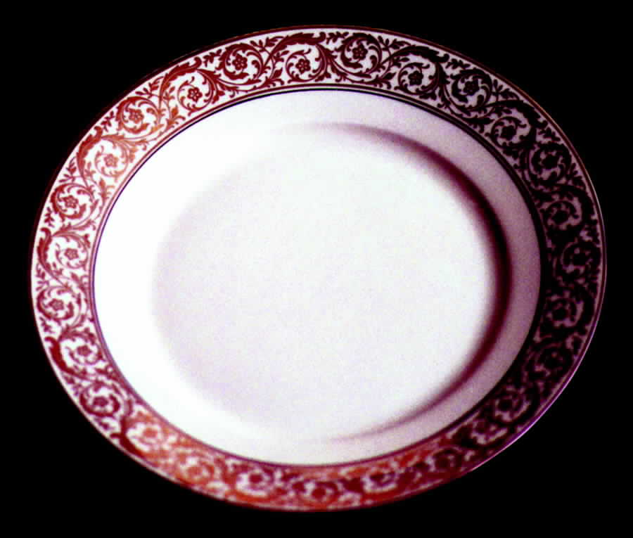 3037 Dinner Plate by Tirschenreuth-1