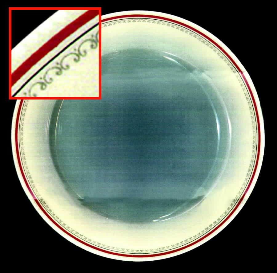 TIR167 Dinner Plate by Tirschenreuth-1