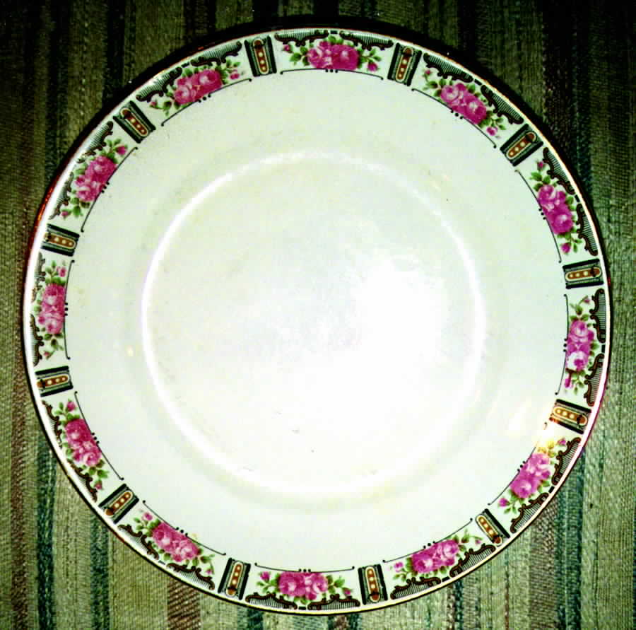 1431t Dinner Plate by Thompson-1