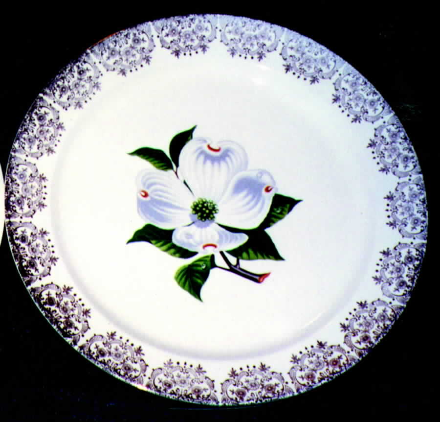 TST365 Dinner Plate by Taylor, Smith & Taylor (Ts&T)-1